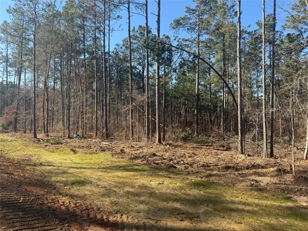 King Estate Lane Ruston, LA 71270