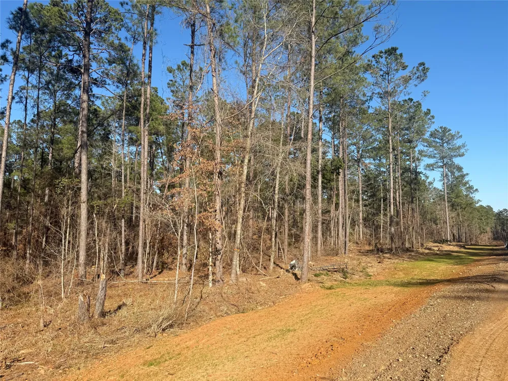King Estate Lane Ruston, LA 71270