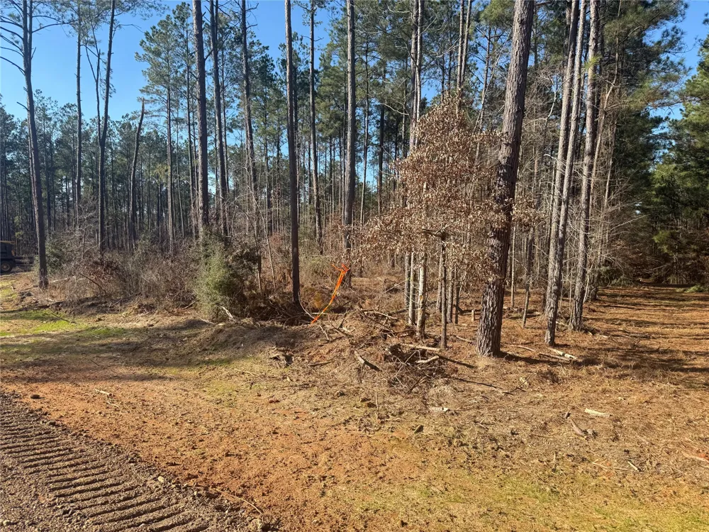 King Estate Lane Ruston, LA 71270