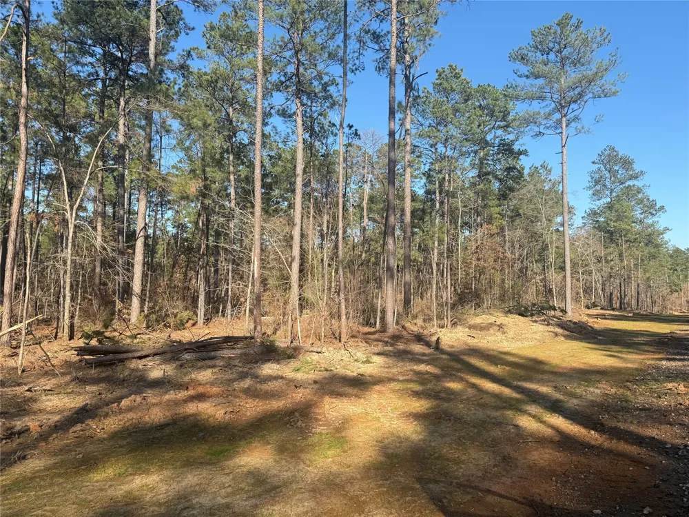 King Estate Lane Ruston, LA 71270