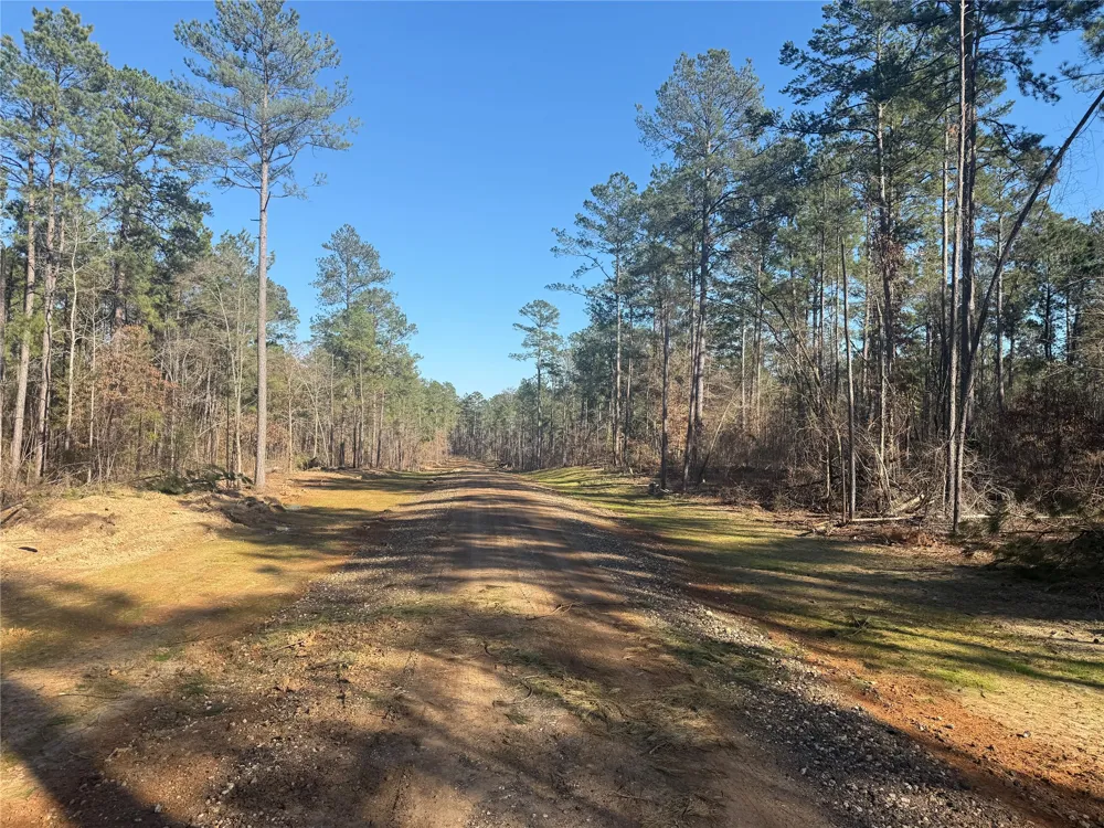King Estate Lane Ruston, LA 71270