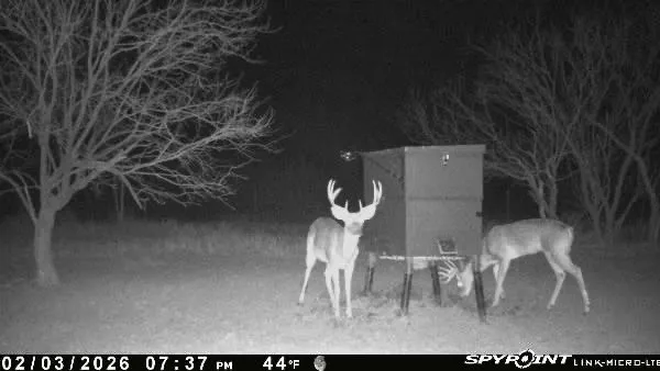 3574 E 180 Breckenridge, TX 76424