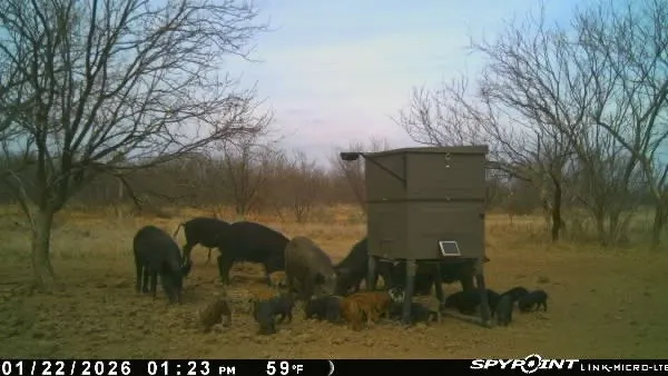 3574 E 180 Breckenridge, TX 76424