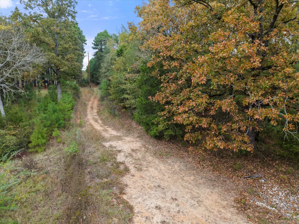 641 Naples Omaha, TX 75571