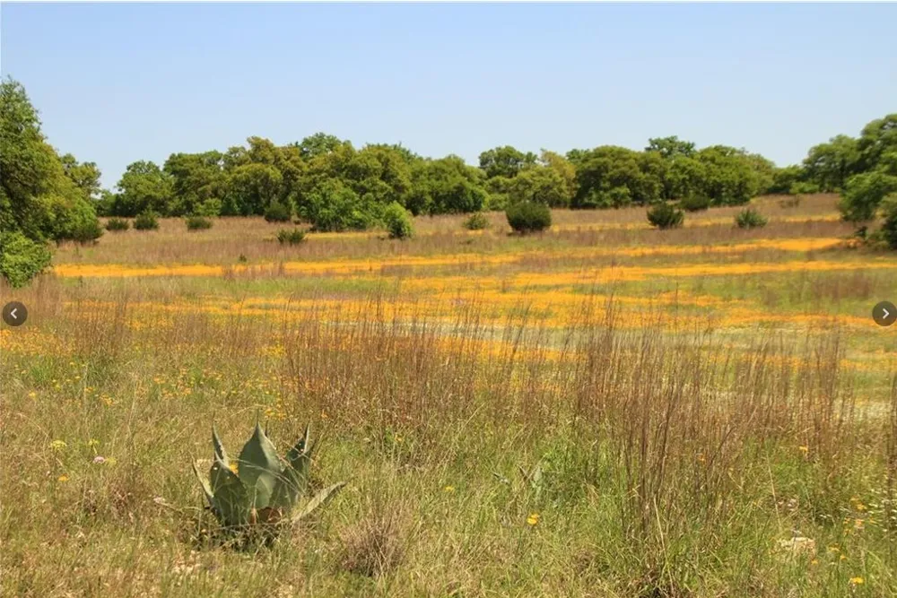 920 Crosswind Drive Blanco, TX 78606