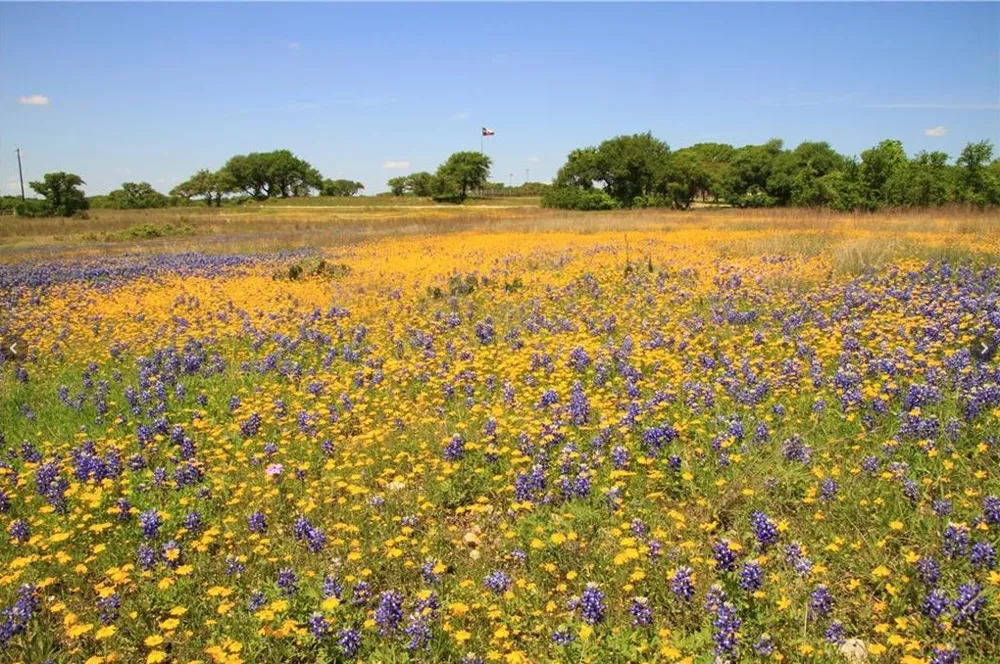 920 Crosswind Drive Blanco, TX 78606