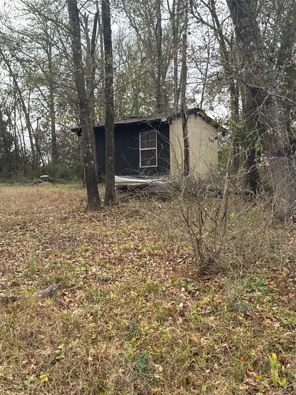 1113 Fm 27 Wortham, TX 76693