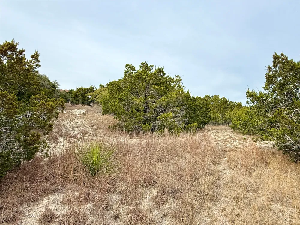 557 Abodar Trail Spring Branch, TX 78070