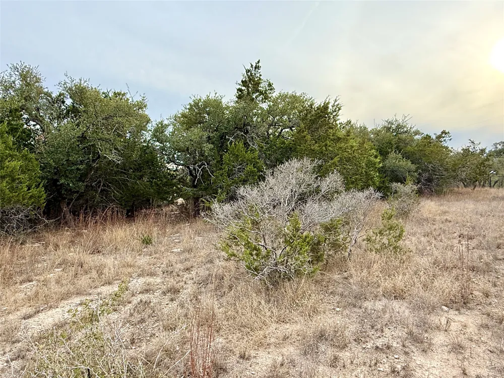 557 Abodar Trail Spring Branch, TX 78070