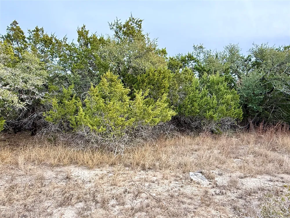 557 Abodar Trail Spring Branch, TX 78070