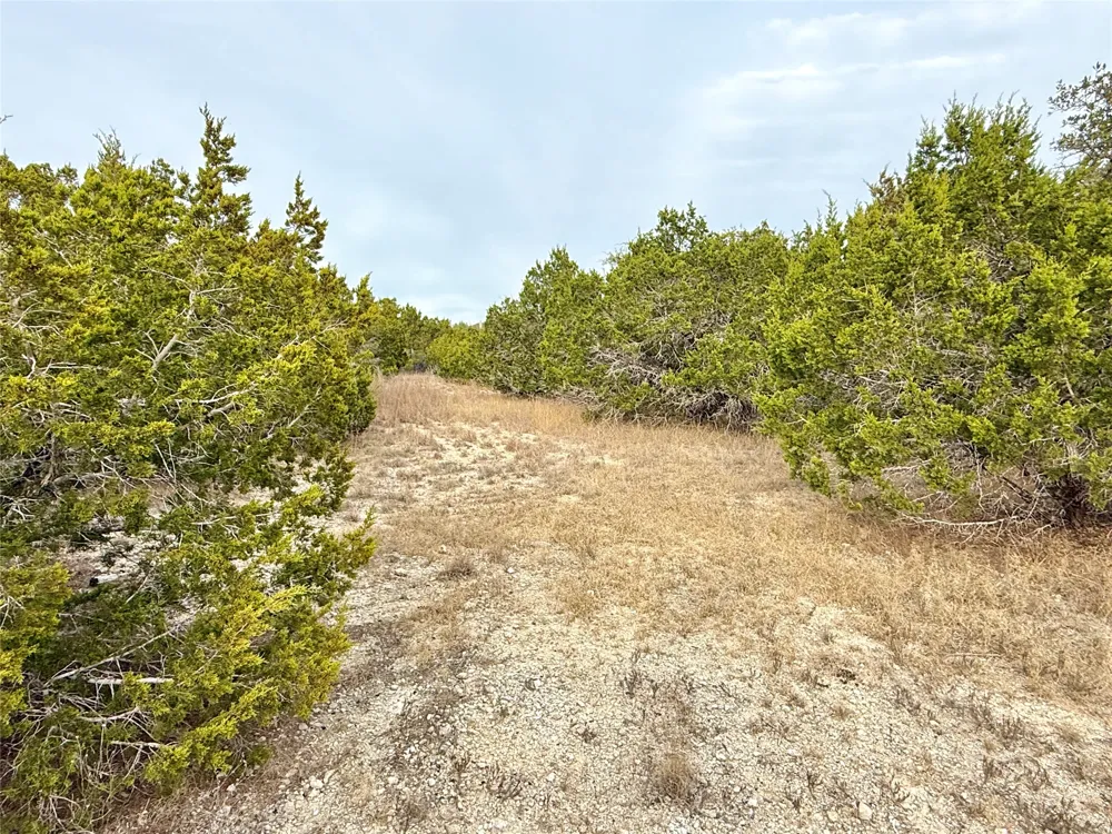 557 Abodar Trail Spring Branch, TX 78070