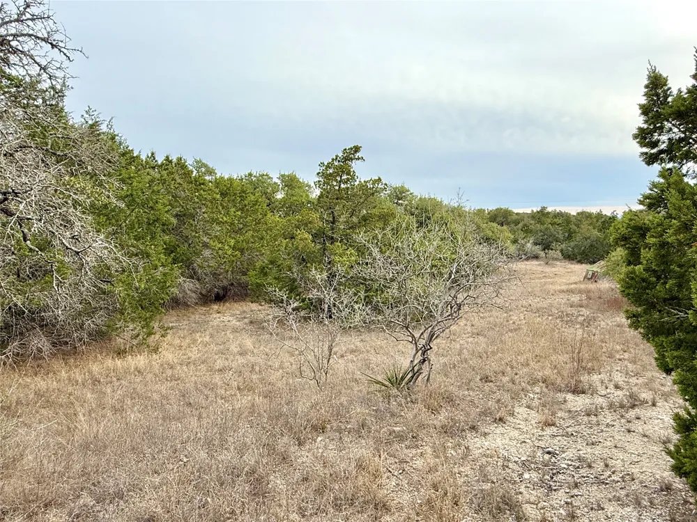 557 Abodar Trail Spring Branch, TX 78070