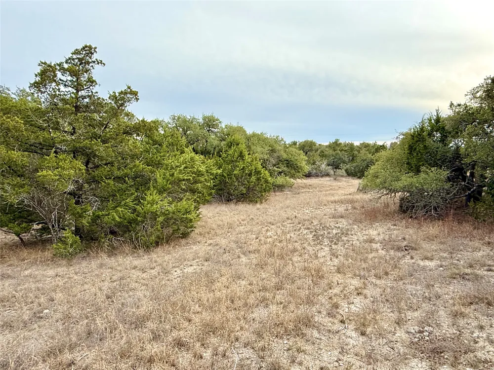 557 Abodar Trail Spring Branch, TX 78070