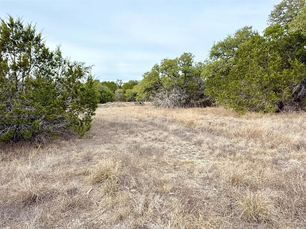 557 Abodar Trail Spring Branch, TX 78070