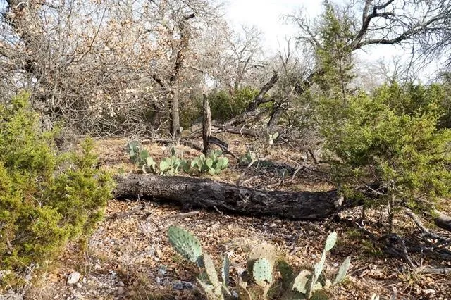 Whitetail Trail San Saba, TX 76877