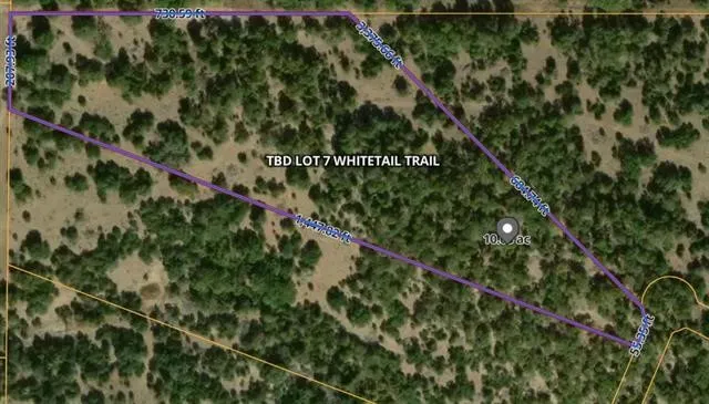 Whitetail Trail San Saba, TX 76877