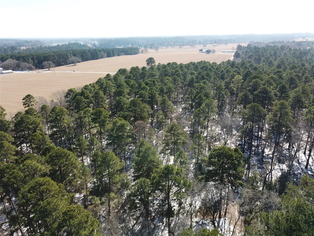 County Road 3147 Tyler, TX 75706