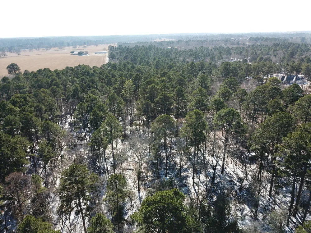 County Road 3147 Tyler, TX 75706