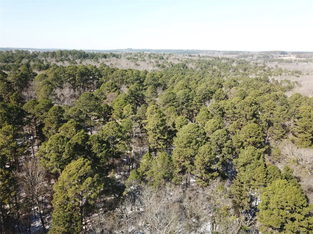 County Road 3147 Tyler, TX 75706