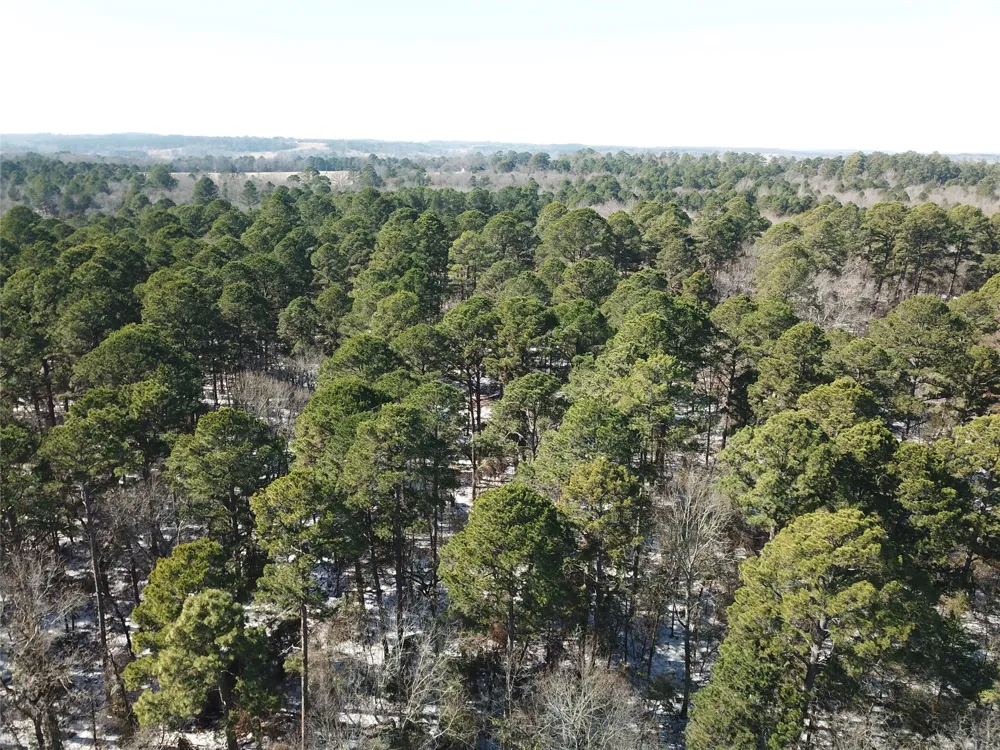 County Road 3147 Tyler, TX 75706