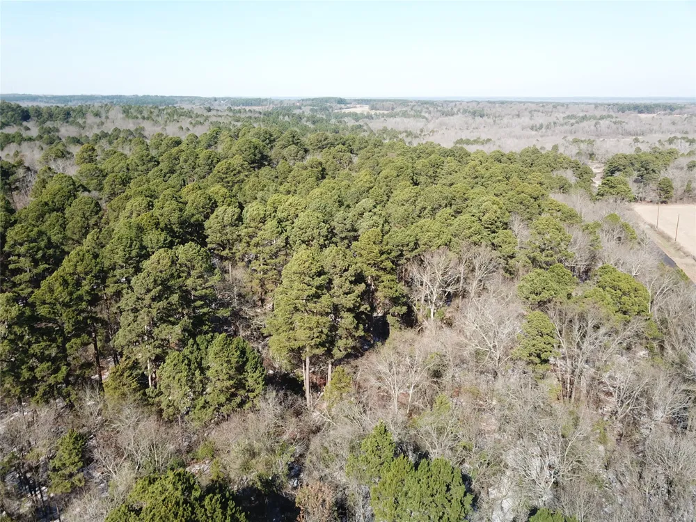 County Road 3147 Tyler, TX 75706