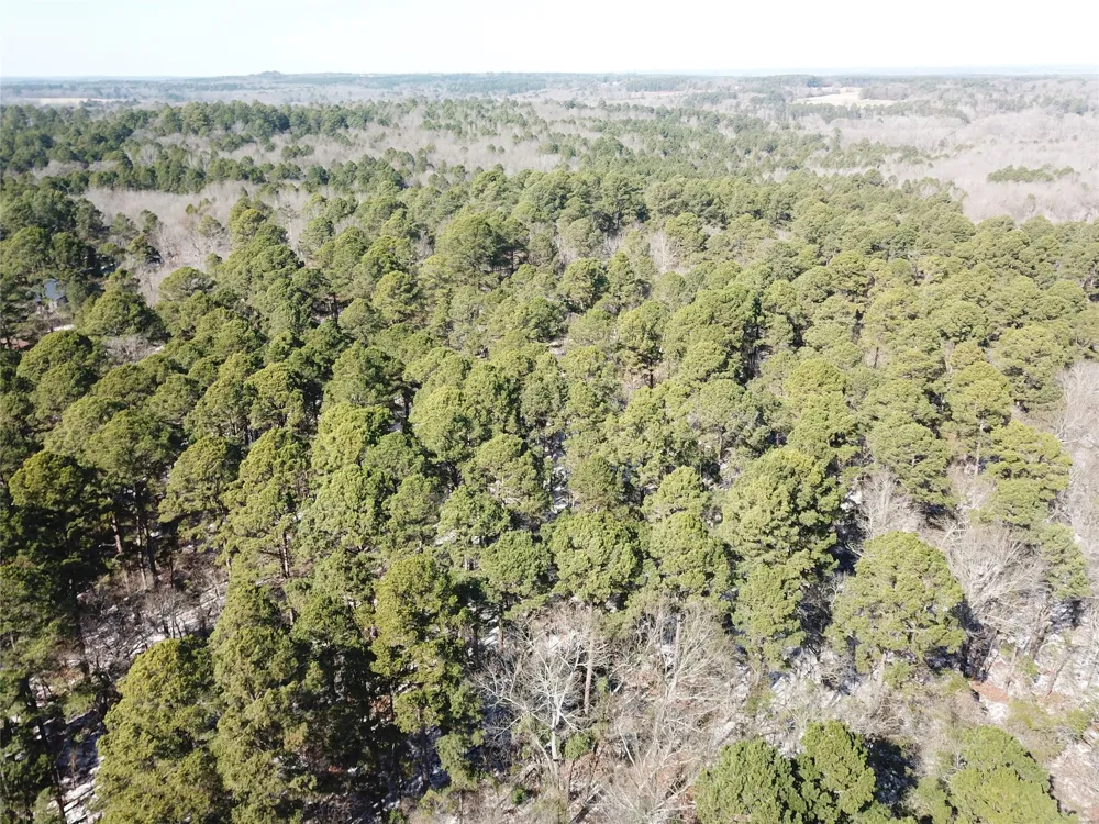 County Road 3147 Tyler, TX 75706