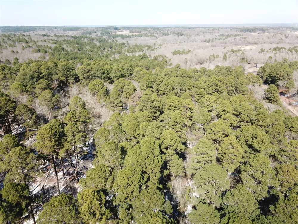 County Road 3147 Tyler, TX 75706