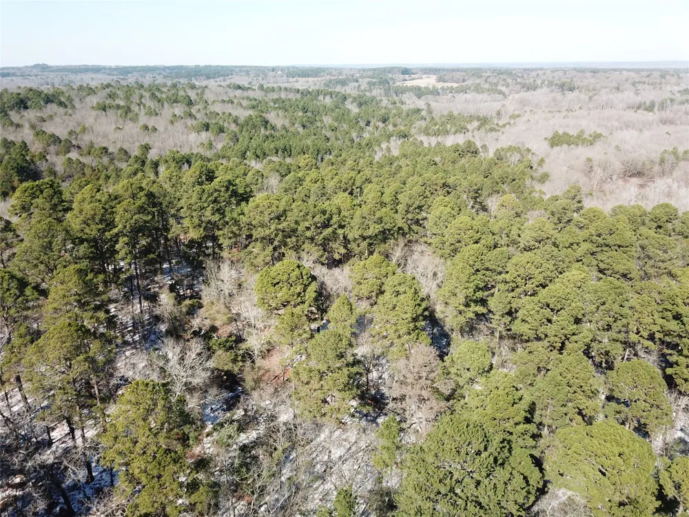 County Road 3147 Tyler, TX 75706