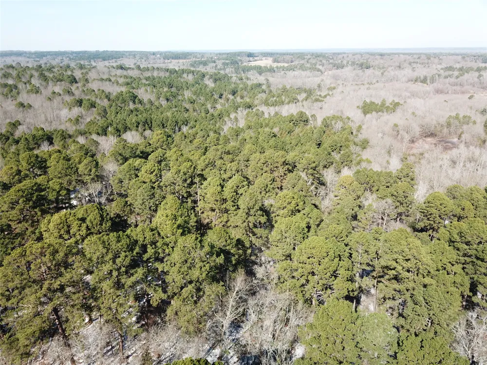 County Road 3147 Tyler, TX 75706