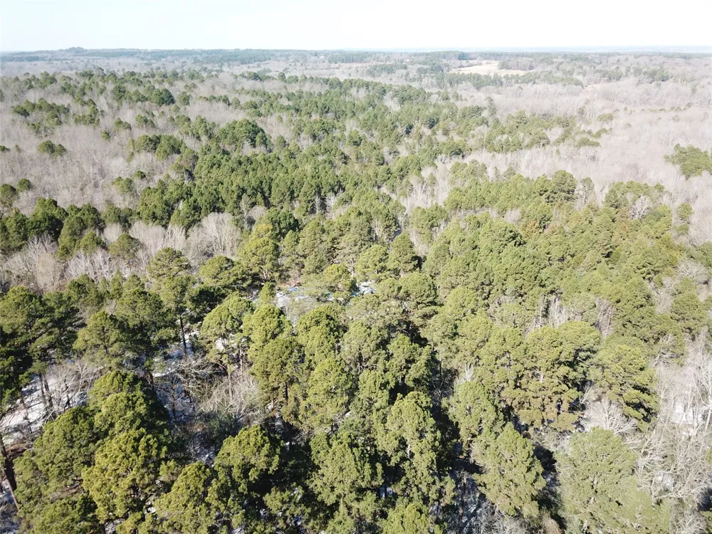 County Road 3147 Tyler, TX 75706