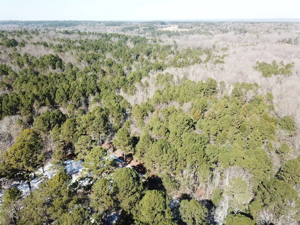County Road 3147 Tyler, TX 75706