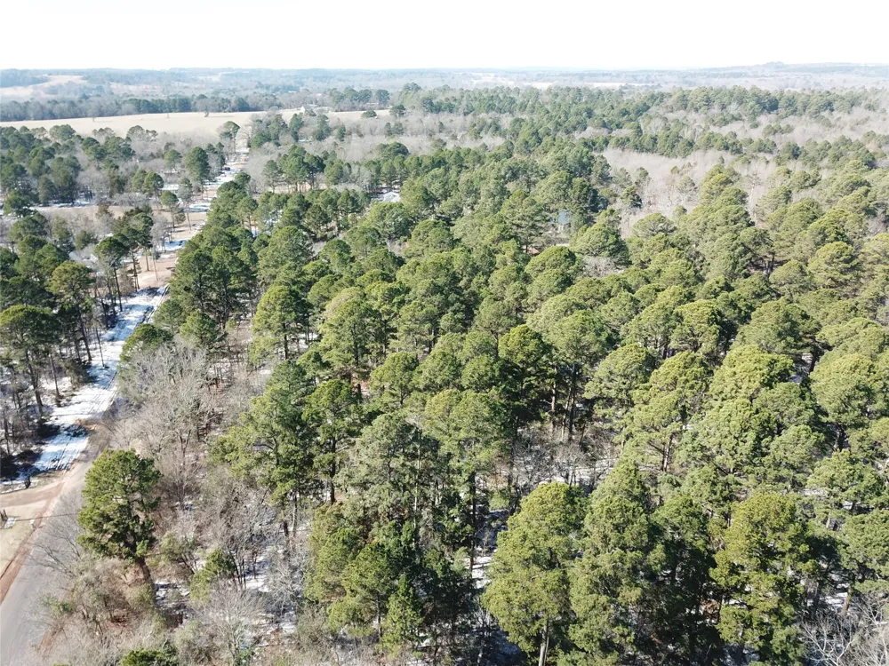 County Road 3147 Tyler, TX 75706