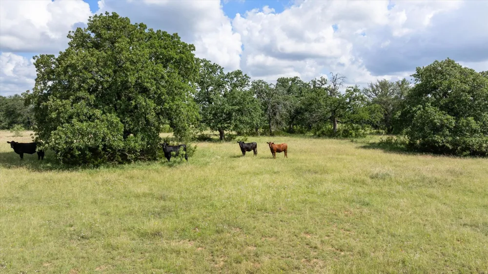 CR 2200 Hico, TX 76457