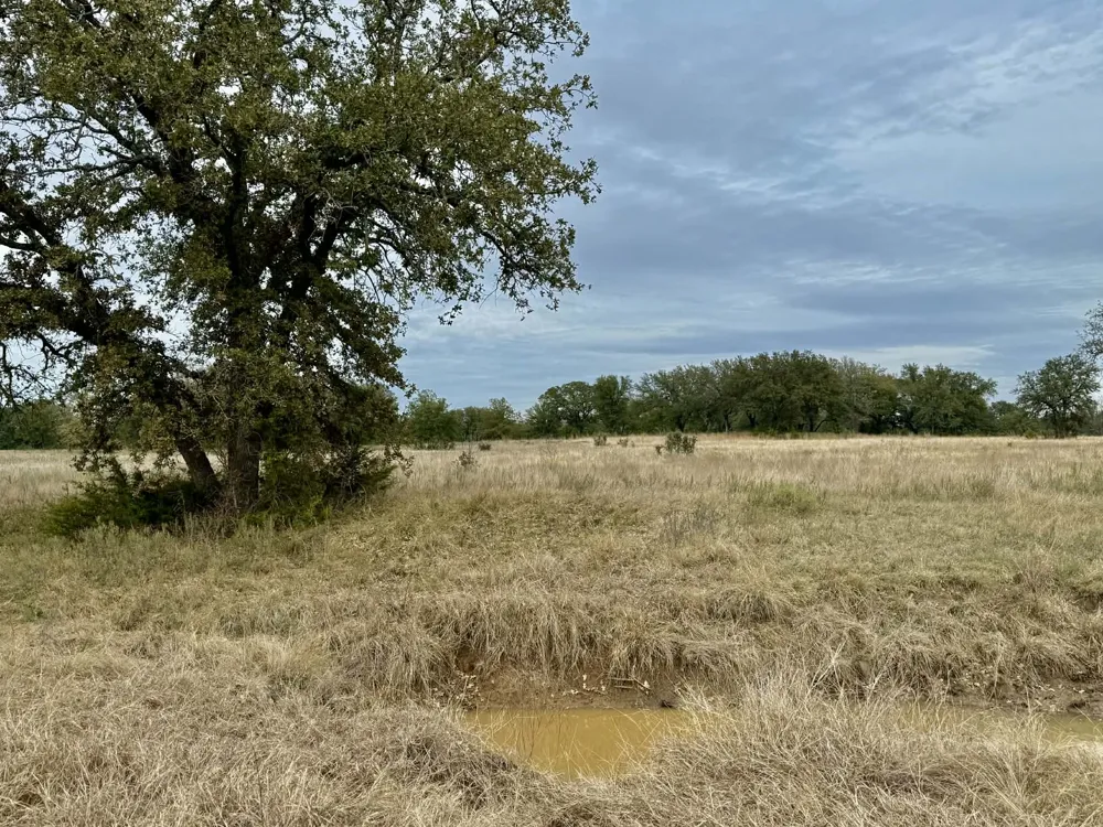 CR 2200 Hico, TX 76457