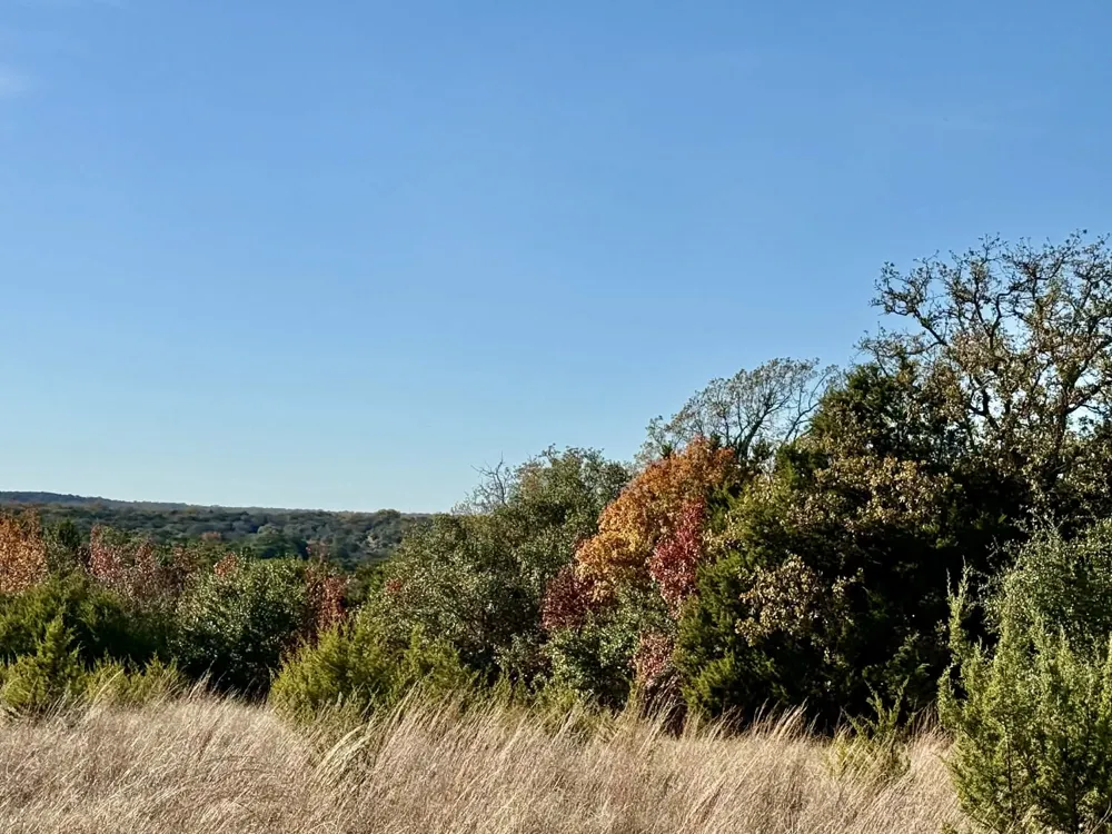 CR 2200 Hico, TX 76457