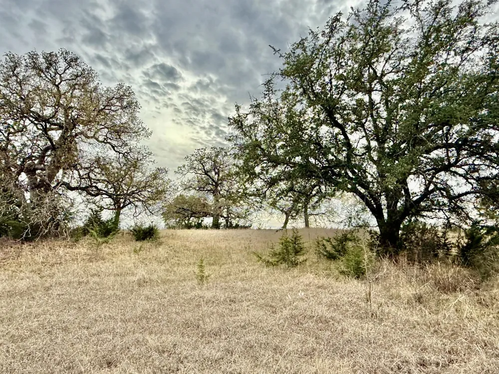 CR 2200 Hico, TX 76457