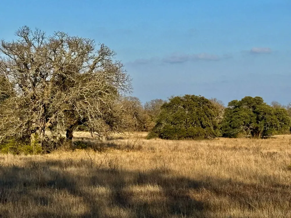 CR 2200 Hico, TX 76457