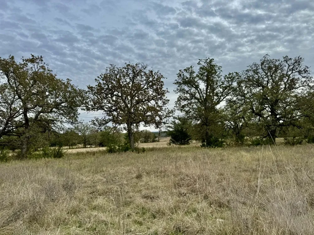 CR 2200 Hico, TX 76457