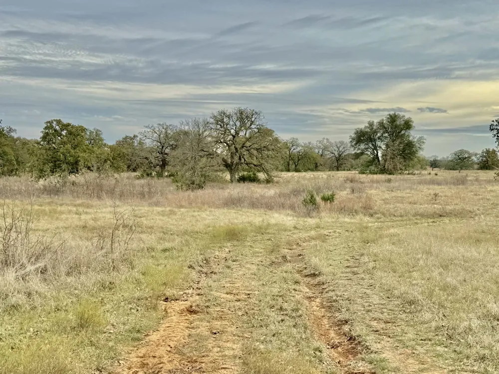 CR 2200 Hico, TX 76457