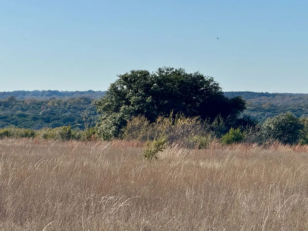 CR 2200 Hico, TX 76457