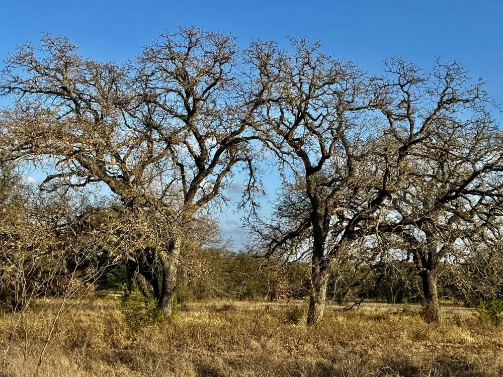 CR 2200 Hico, TX 76457