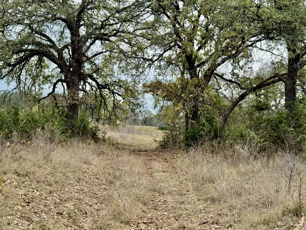 CR 2200 Hico, TX 76457