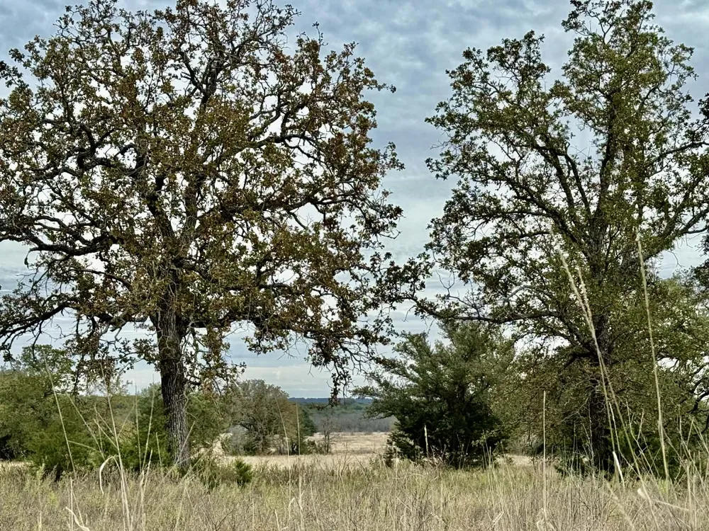 CR 2200 Hico, TX 76457