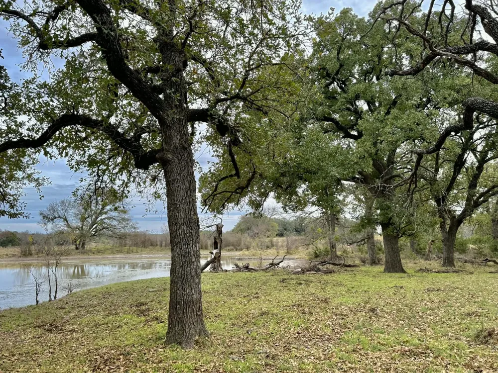 CR 2200 Hico, TX 76457