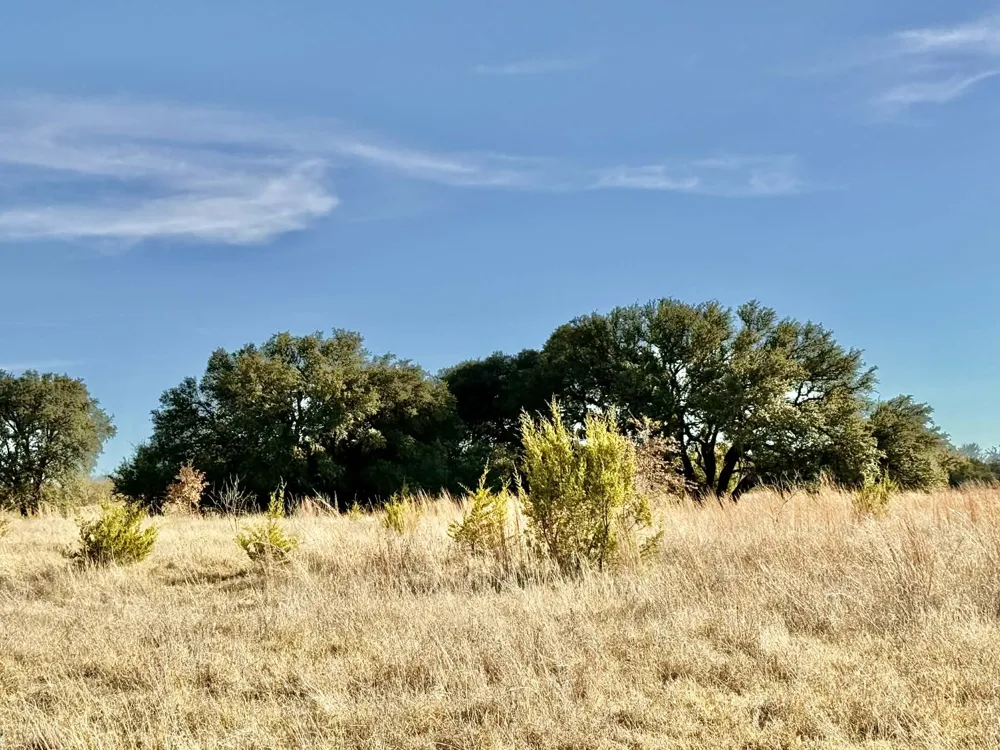 CR 2200 Hico, TX 76457