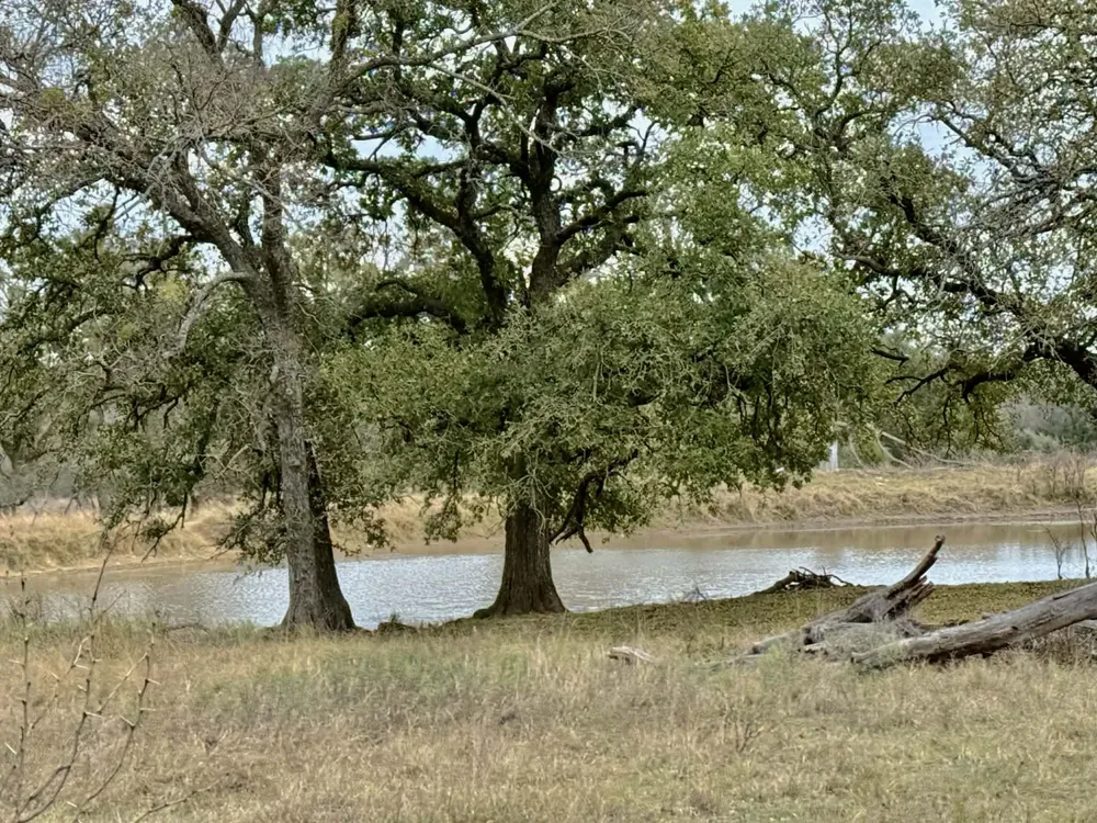 CR 2200 Hico, TX 76457