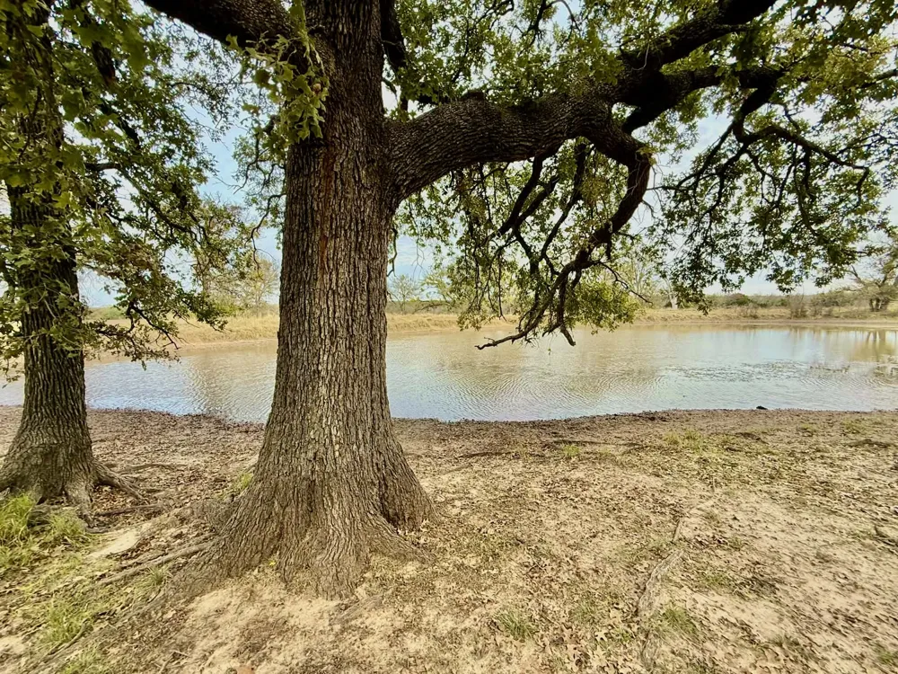 CR 2200 Hico, TX 76457