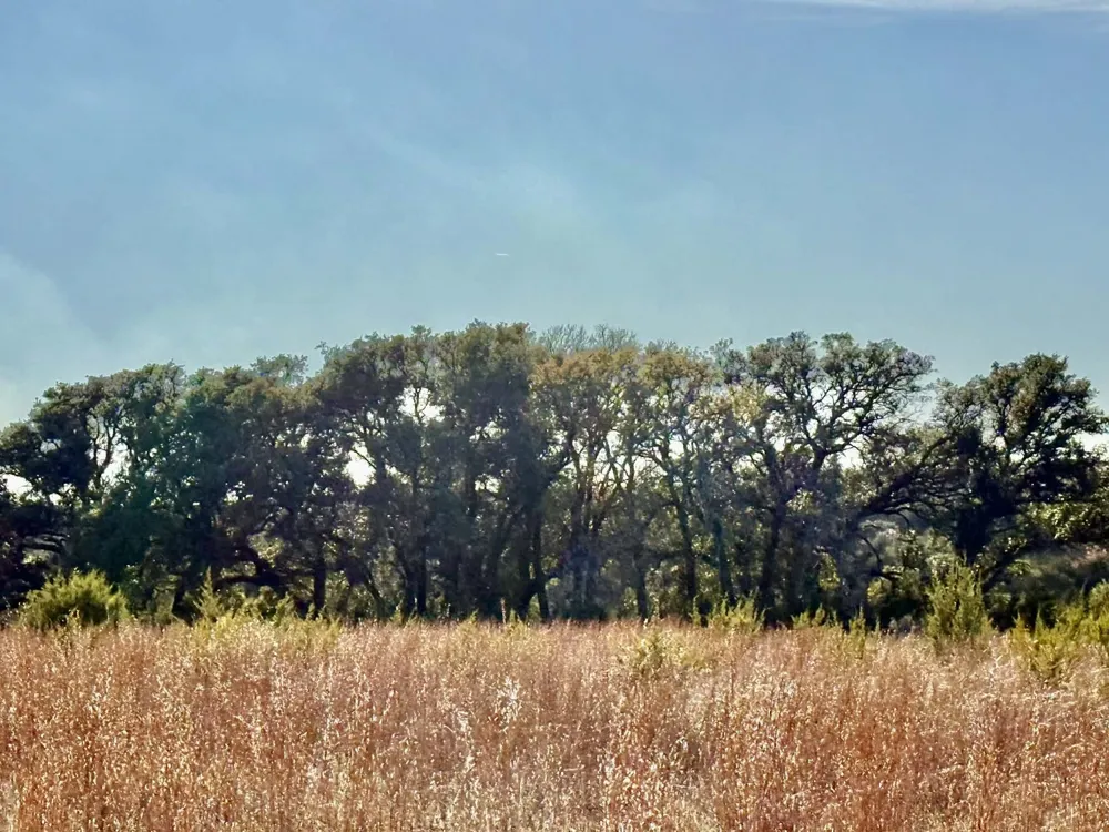 CR 2200 Hico, TX 76457