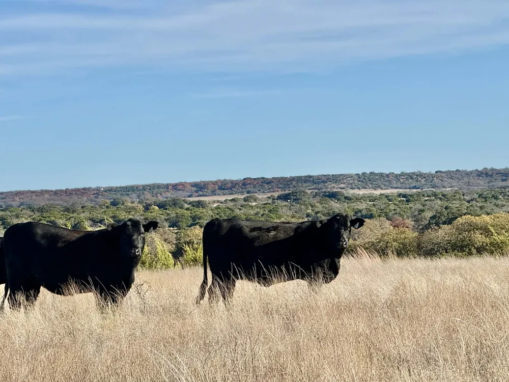 CR 2200 Hico, TX 76457