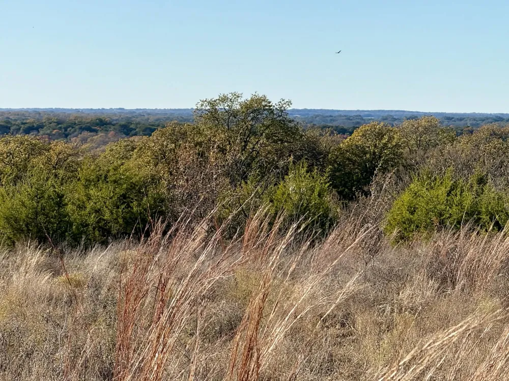 CR 2200 Hico, TX 76457
